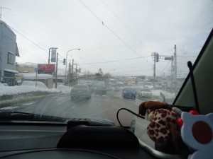 DSC02821